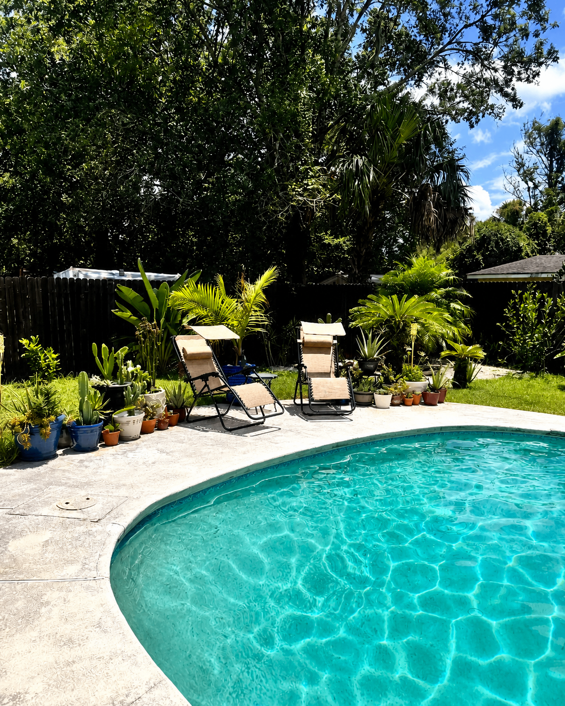 Sunlit backyard pool surrounded by palms and lounge chairs at First Coast Recovery Retreat