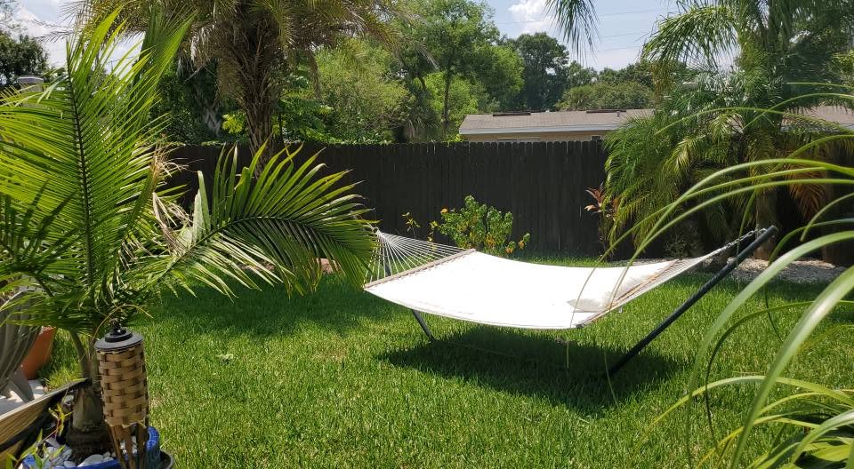 White hammock strung between palms in a lush, private Jacksonville backyard